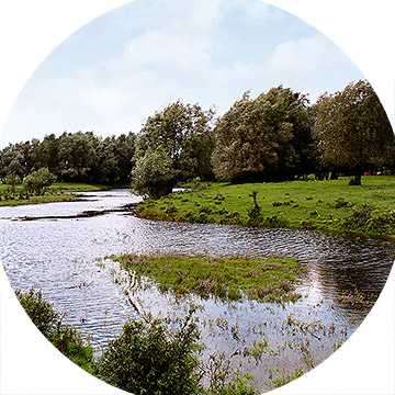 Rhein-Nebenrinne Bislich-Vahnum