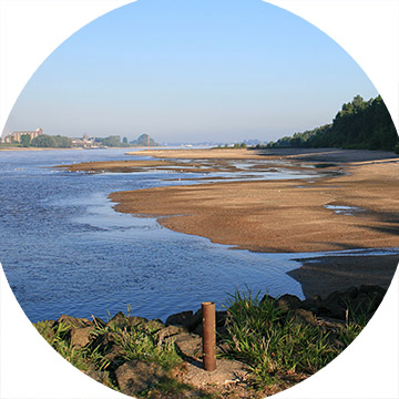 Wiederherstellung des Feuchtgebietscharakters der Emmericher Ward