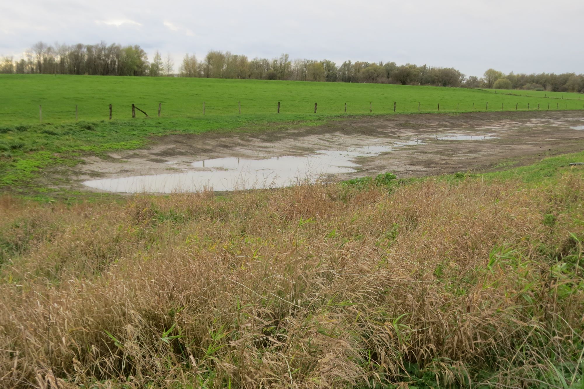 Wiederhergestelltes Gewaesserred