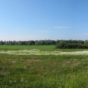 Panorama der Emmericher Ward