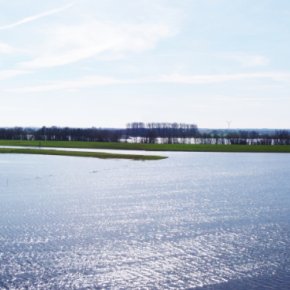 Hochwasser in der Emmericher Ward