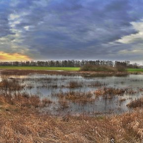 Himmel über der Ward