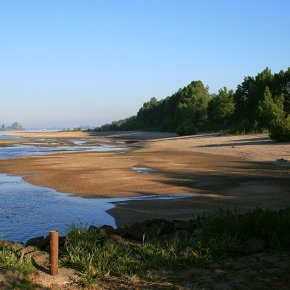 Juvenile fishes rest between the groynes in shallow water