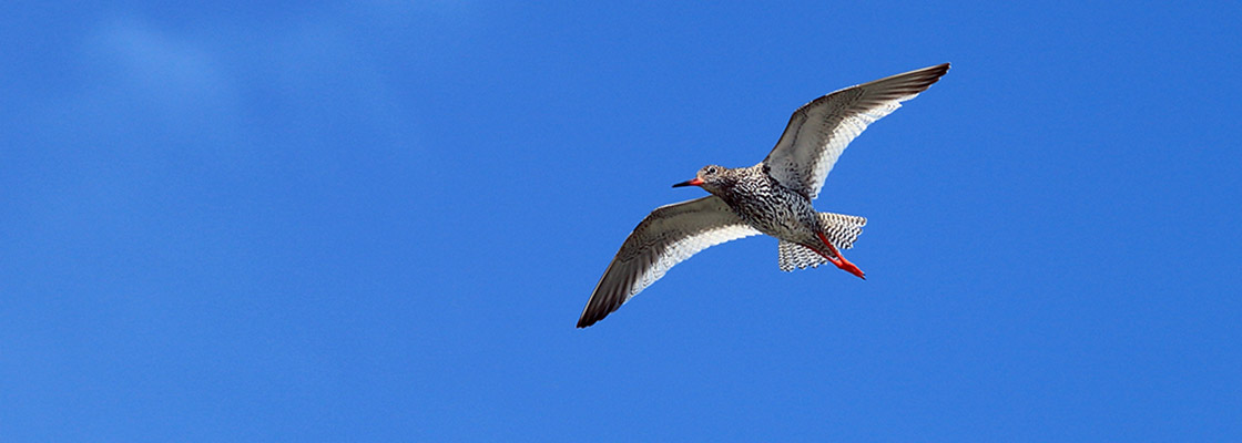 Slide #1 copy copy Slide background