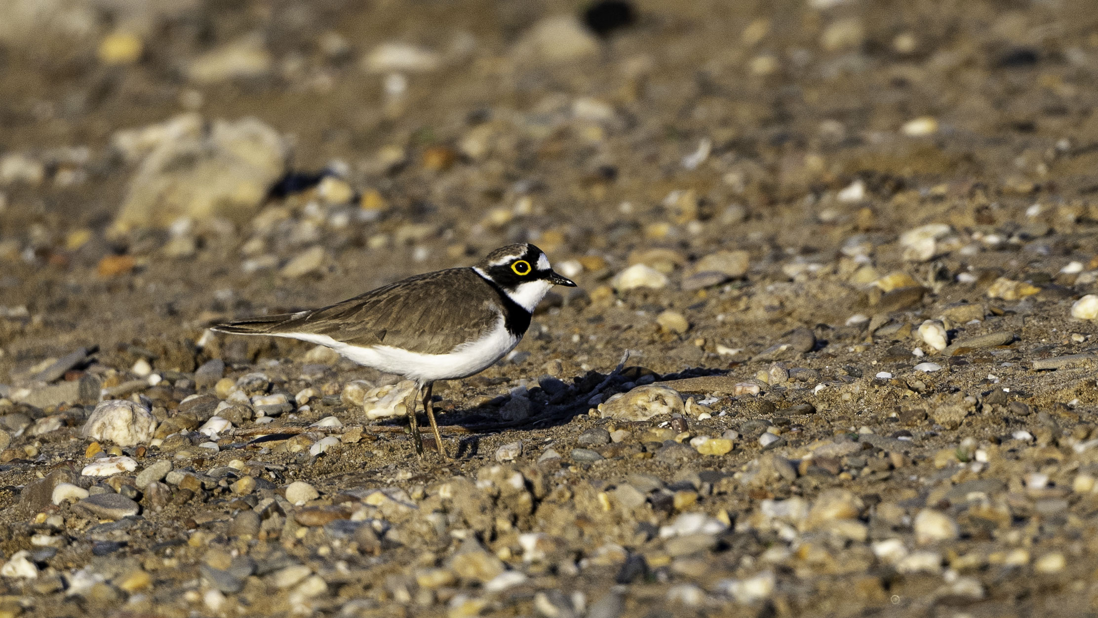 Slide #2 copy Slide background