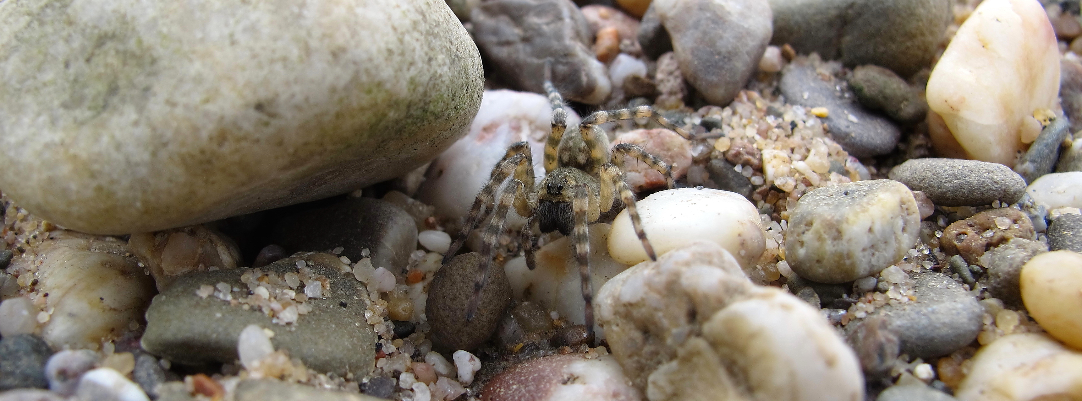 Slide #3 Slide background